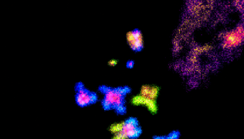 ChromoWEB